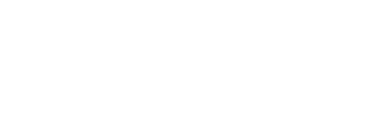 ZSpace